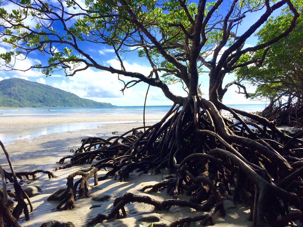 Cape Tribulation Holiday House Exterior photo
